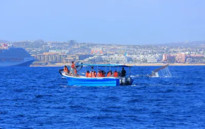 Super Panga glass-bottom boat tour to the Arch of Cabo San Lucas