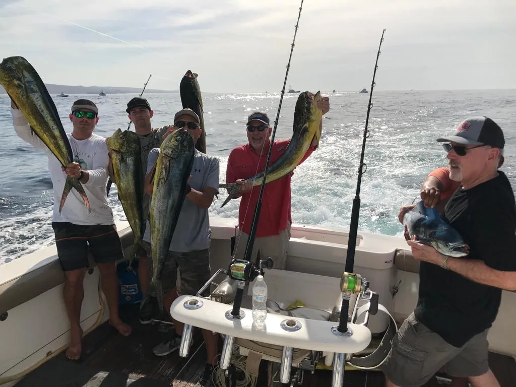 Group of anglers with several mahi-mahi after a sportfishing day in Cabo San Lucas