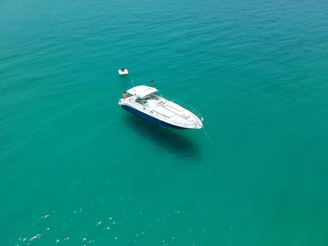 Yate Sea Ray 47 en renta Cabo San Lucas, renta de yate Cabo San Lucas y Los Cabos (5/11)