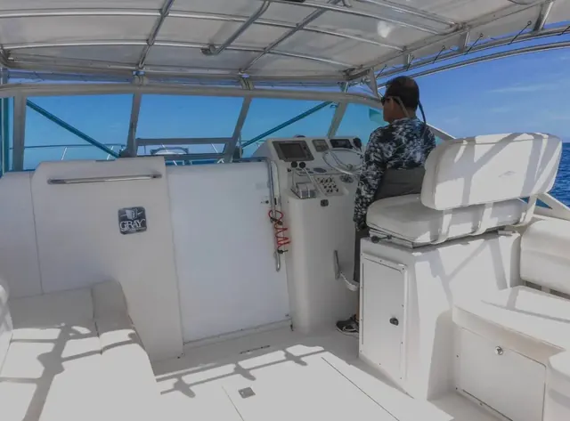 Yate de pesca deportiva Cabo Express 31, pesca deportiva Cabo San Lucas Los Cabos (2/9)