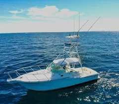 Yate de pesca deportiva Cabo Express 31, pesca deportiva Cabo San Lucas Los Cabos (4/9)