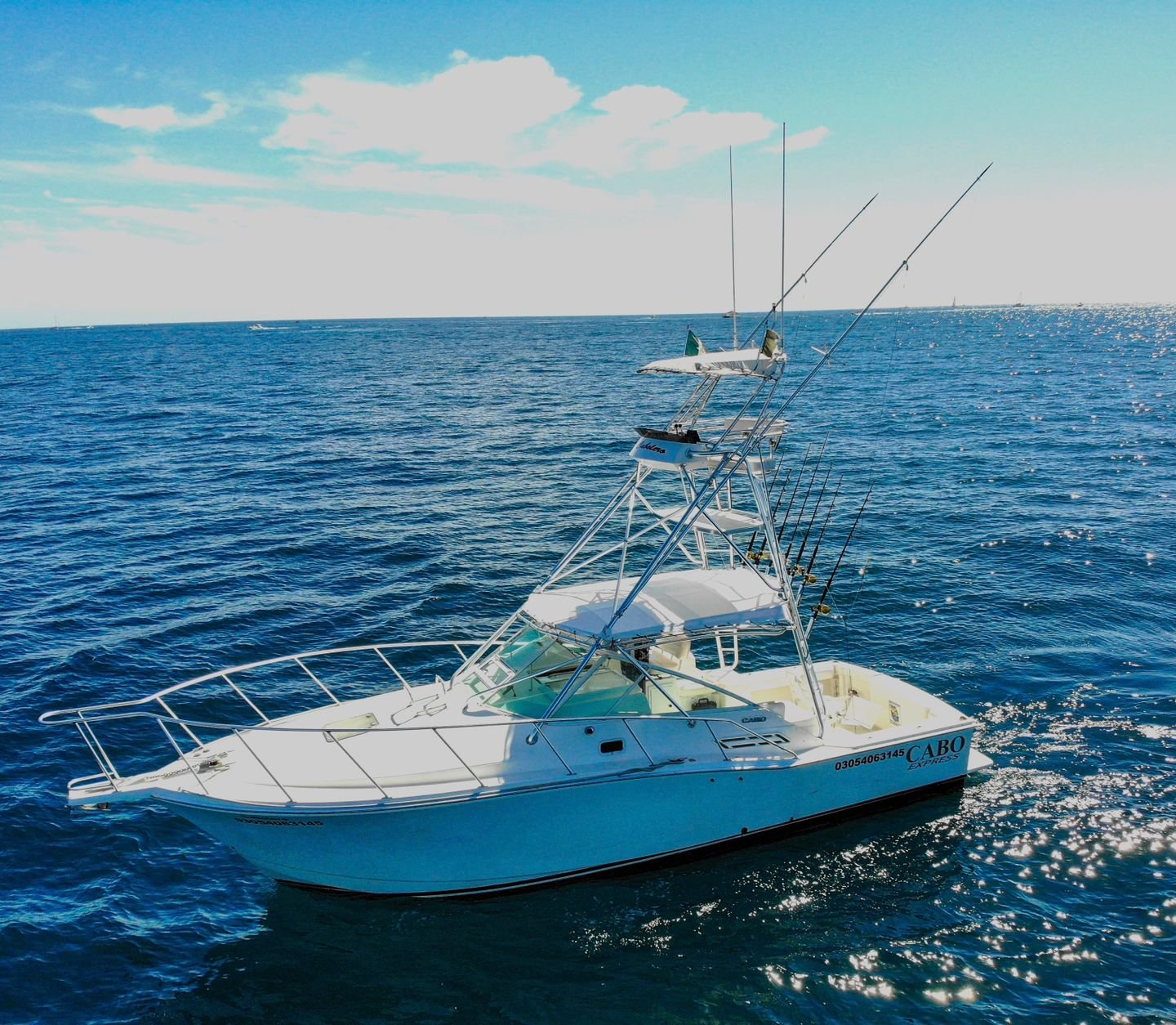 Cabo 31 Express Sport Fishing Yacht, sport fishing yacht Cabo San Lucas (4/9)
