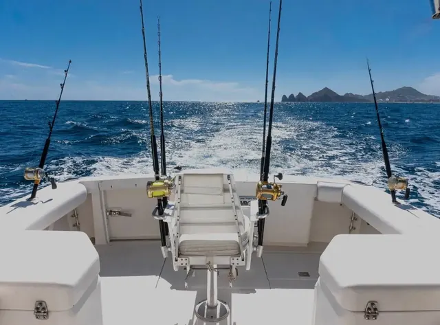 Yate de pesca deportiva Cabo Express 31, pesca deportiva Cabo San Lucas Los Cabos (7/9)