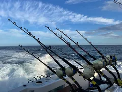 Yate de pesca deportiva Cabo Express 31, pesca deportiva Cabo San Lucas Los Cabos (8/9)