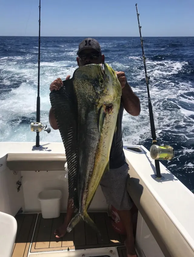 Yate de pesca deportiva Cabo Express 45, pesca deportiva en Cabo San Lucas, Los Cabos (7/31)
