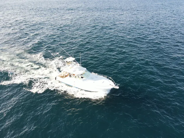 Yate de pesca deportiva Cabo Express 45, pesca deportiva en Cabo San Lucas, Los Cabos (4/31)