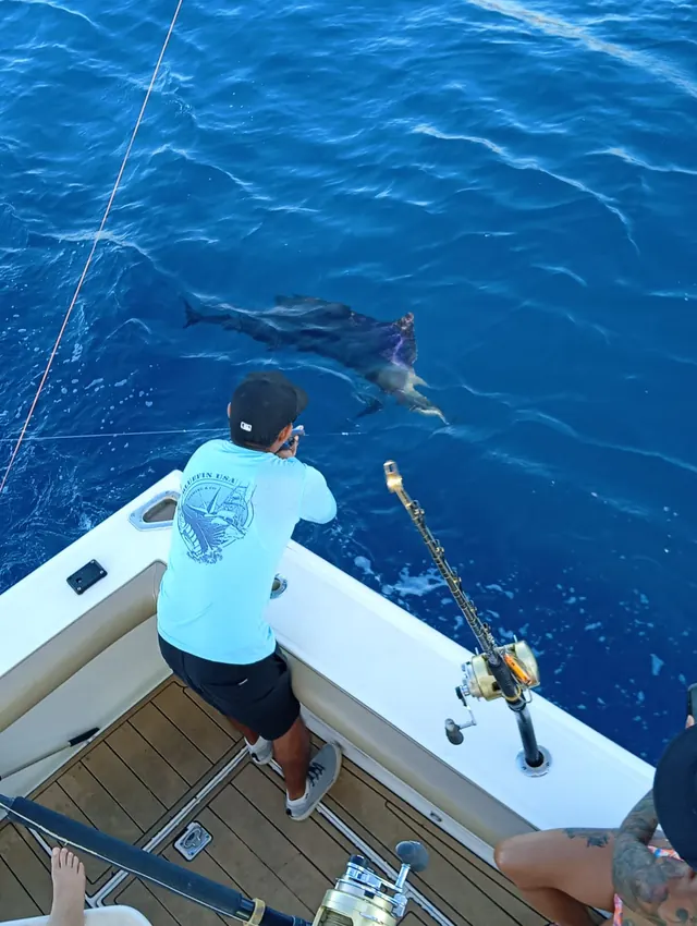 Yate de pesca deportiva Cabo Express 45, pesca deportiva en Cabo San Lucas, Los Cabos (6/31)