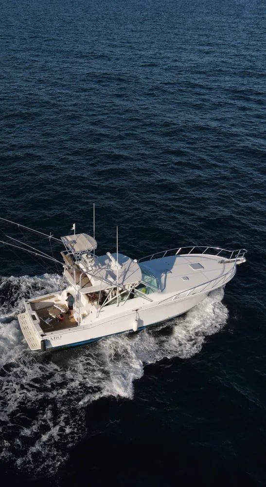 Cabo Express 45 Sport Fishing Yacht Cabo San Lucas, sport fishing yacht Cabo San Lucas (4/13)