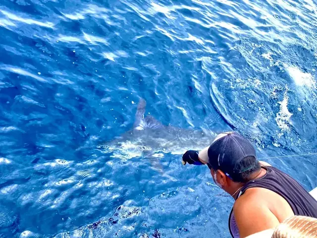 Yate de pesca deportiva Cabo Express 45, pesca deportiva Cabo San Lucas Los Cabos (8/13)