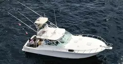 Yate de pesca deportiva Cabo Express 45, pesca deportiva en Cabo San Lucas, Los Cabos (19/31)