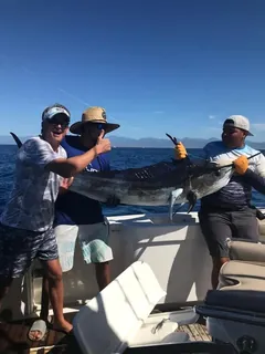 Yate de pesca deportiva Cabo Express 45, pesca deportiva Cabo San Lucas Los Cabos (12/13)