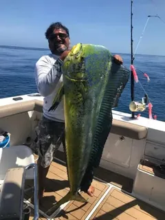 Yate de pesca deportiva Cabo Express 45, pesca deportiva Cabo San Lucas Los Cabos (13/13)