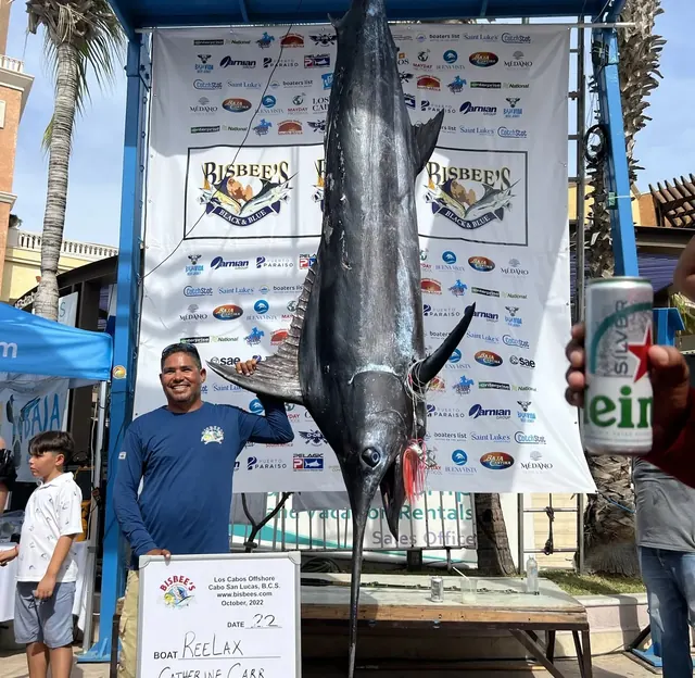 Yate de pesca deportiva Viking 44, pesca deportiva Cabo San Lucas Los Cabos (4/9)