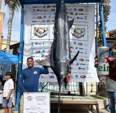 Yate de pesca deportiva Viking 44, pesca deportiva Cabo San Lucas Los Cabos (4/9)